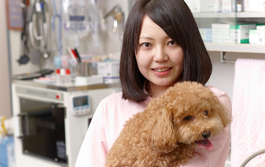 動物看護・ペット学科 動物看護師専攻